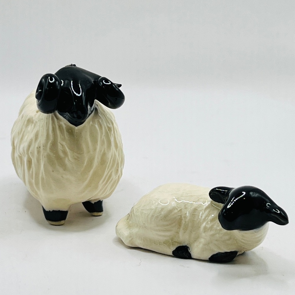 Tom Mackie Spaghetti Black Face Sheep